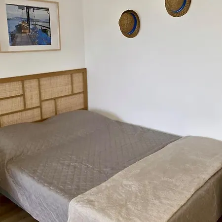 Apartment Chaleureux Avec Terrasse A - Parking Prive - Fr-1-604-56 *